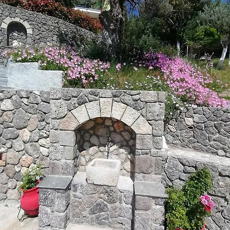 Teo & Niki アパート